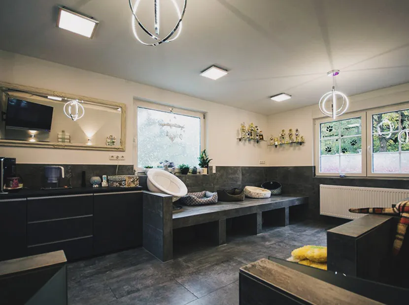 Trocken- & Innenausbau